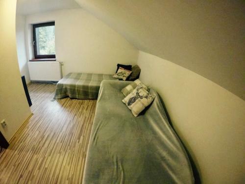 Stag House - Jelen� Dom