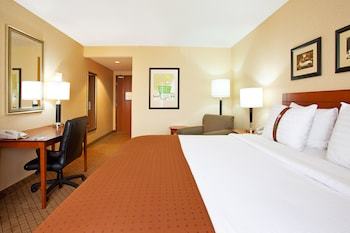 Hotel Holiday Inn Battle Creek