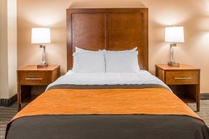 Hotel Comfort Inn Battle Creek