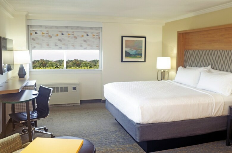 Hotel Holiday Inn Binghamton-dwtn (hawley St)