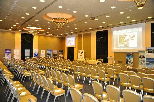 Hotel Golden Tulip Ana Dome (execut)