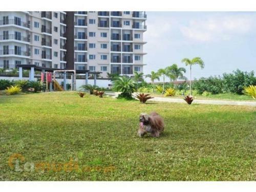 Circulo Verde Apartment
