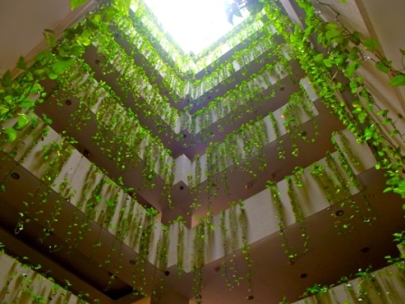 Hotel Toborochi Suites