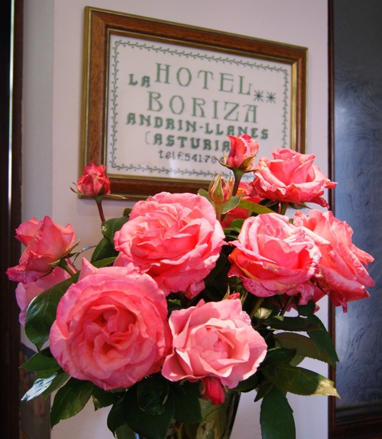 Hotel La Boriza