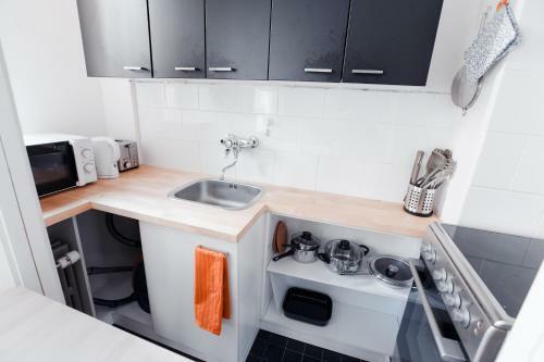 Scandinavian Studio Apartment