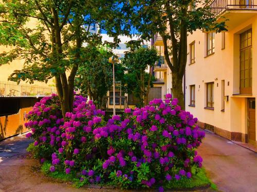 Apartamentos Sweet Home Hietalahdenkatu