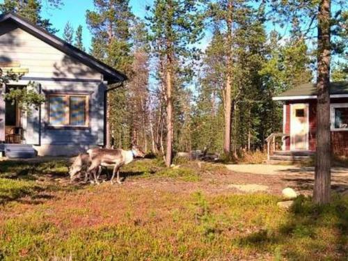 Holiday Home Visapirtti