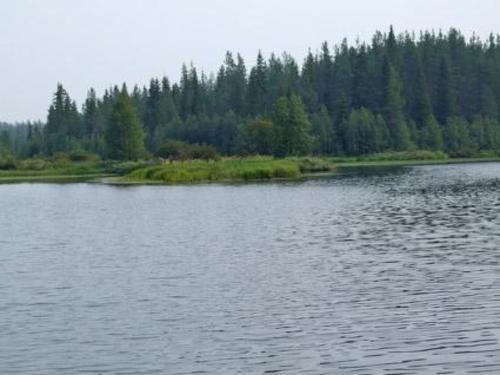 Holiday Home Mets�maja