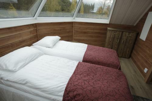 Hotel Levi Northern Lights Huts
