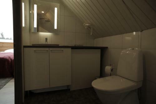 Hotel Levi Northern Lights Huts
