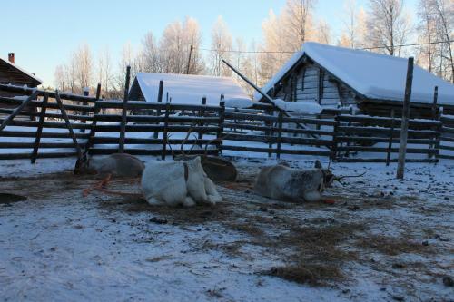 Hotel Levi Northern Lights Huts