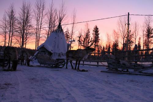 Hotel Levi Northern Lights Huts