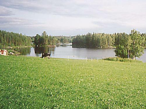 Holiday Home M�ntykumpu