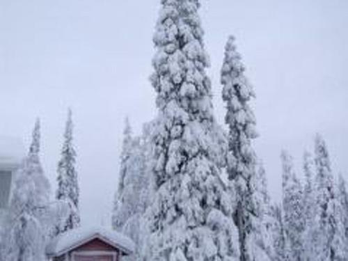 Holiday Home Ruka Snow & Sun 1