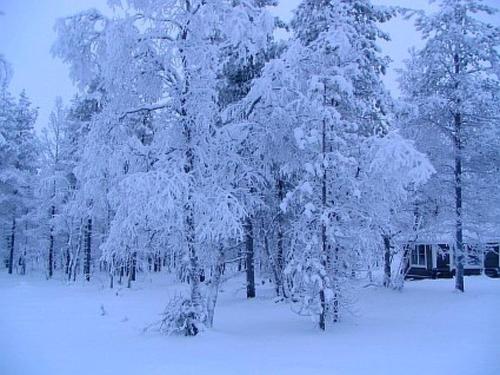 Holiday Home Villemi