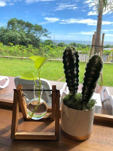 Posada Hotel Everyday Life