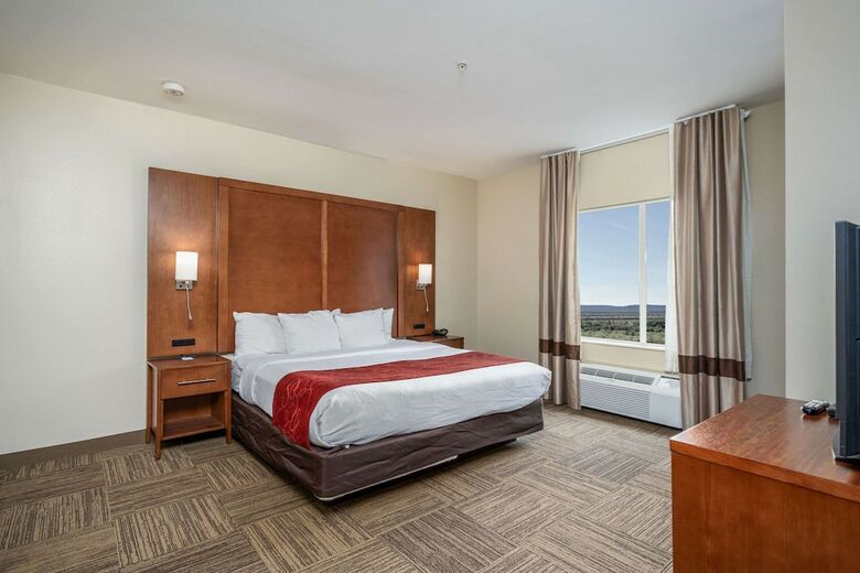 Hotel Comfort Suites University