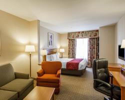 Hotel Comfort Suites Univ. Of Phoenix Stadium Area