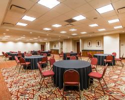 Hotel Comfort Suites Univ. Of Phoenix Stadium Area