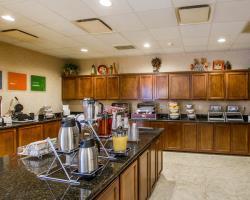 Hotel Comfort Suites Univ. Of Phoenix Stadium Area