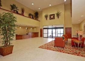 Hotel Comfort Suites Univ. Of Phoenix Stadium Area