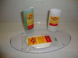 Hotel Econo Lodge & Suites