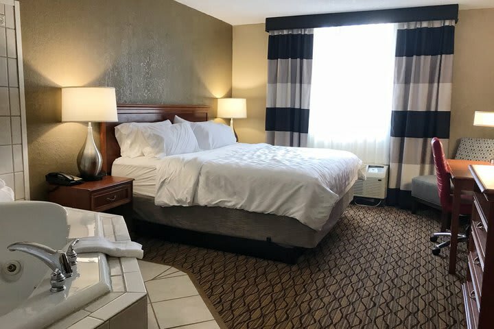 Hotel Holiday Inn Alexandria