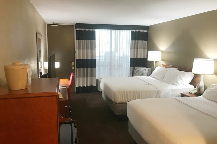 Hotel Holiday Inn Alexandria