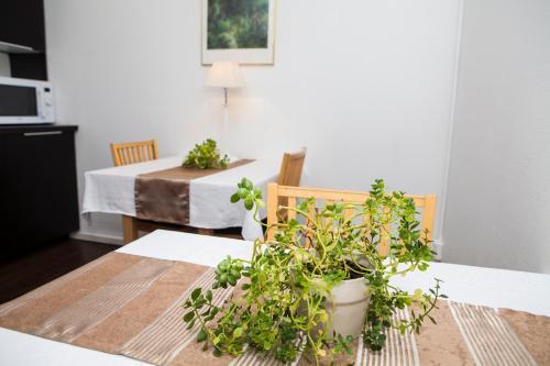 Hotel �lvsj�