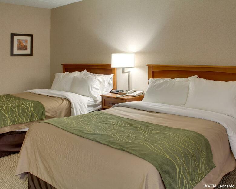 Hotel Comfort Inn Carrier Circle
