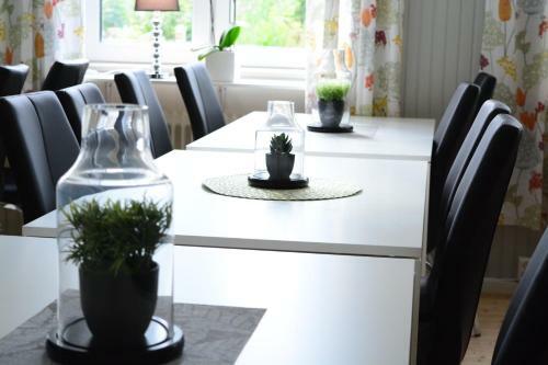 Hostal Alkoven Logi