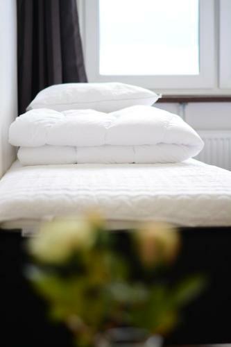 Hostal Alkoven Logi