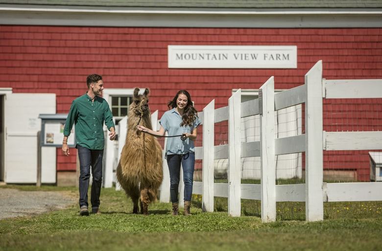 Hotel Mountain View Grand Resort & Spa