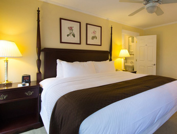 Hotel Mountain View Grand Resort & Spa