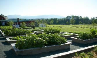 Hotel Mountain View Grand Resort & Spa