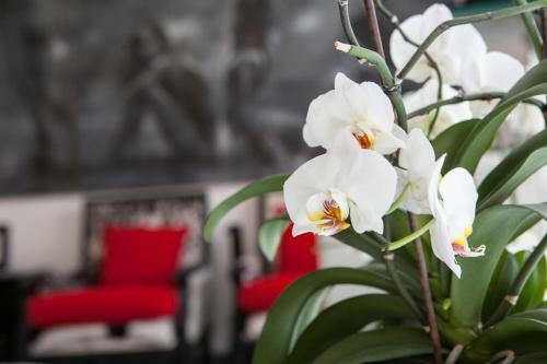 Apartamento Boutique Athens Ct Building