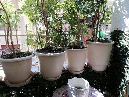Apartamento Maria?s Home