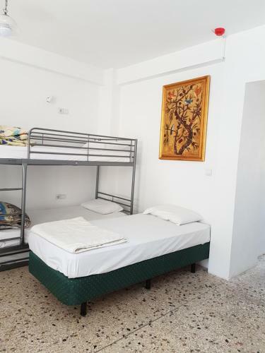Acropolis Hostel