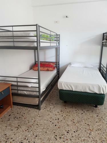 Acropolis Hostel