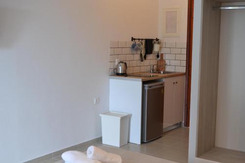 Apartamento Iliana Studios
