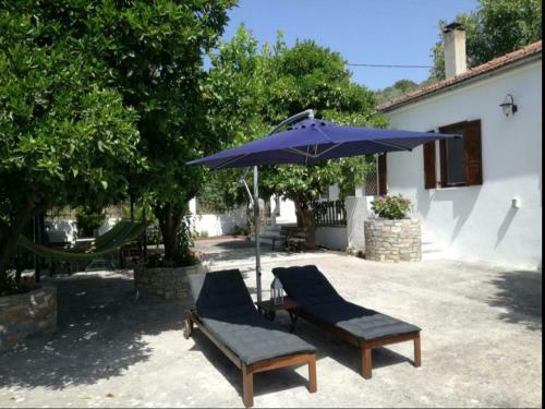 Lemon Tree And Olive Garden House