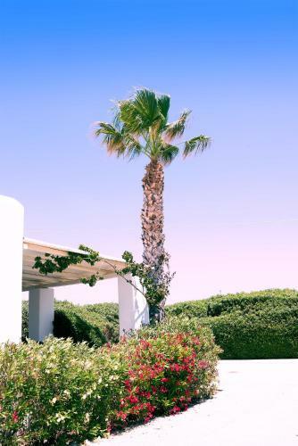 Apartamento Golden Sand Paros