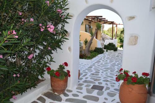 Tzane Apartments