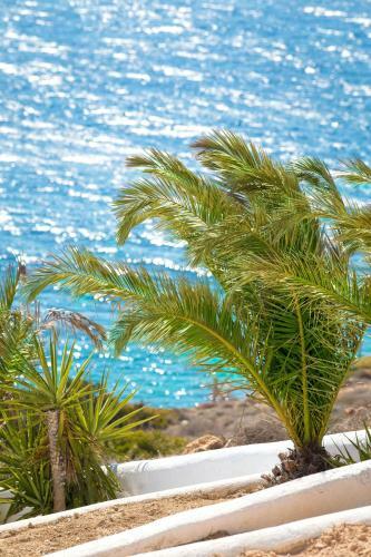 Apartamento Pahivouni Studios & Suites