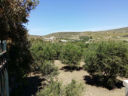 Apartamento Naxos Olive & Home