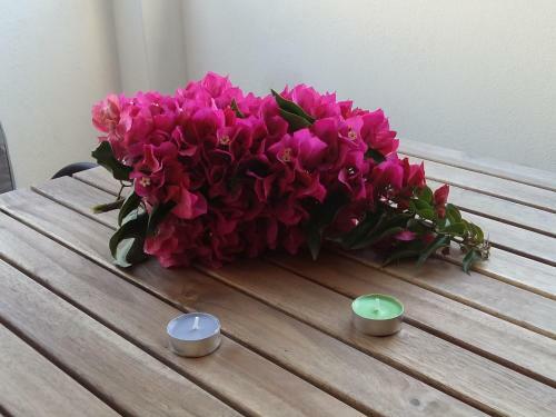 Apartamento Naxos Olive & Home
