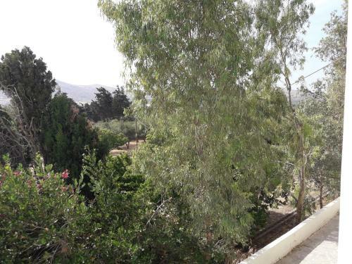 Apartamento Naxos Olive & Home