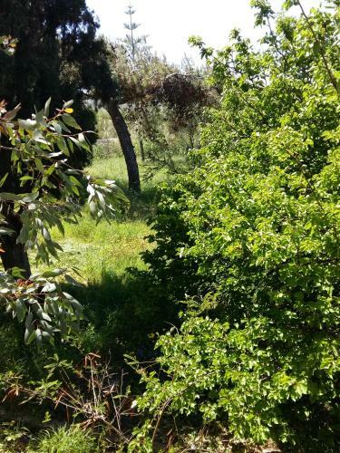 Apartamento Naxos Olive & Home
