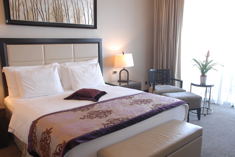 Hotel Celik Palas