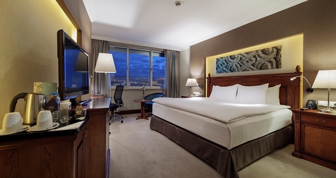 Hotel Hilton Kayseri
